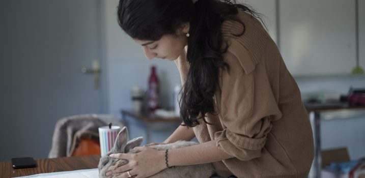 Ostéopathie animale sur un lapin domestique (Oryctolagus cuniculus domesticus)